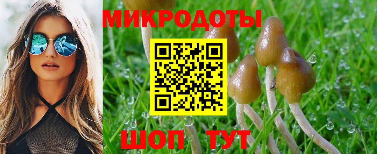 как найти наркотики  Псилоцибиновые грибы GOLDEN TEACHER  Пугачёв  Вход с VPN  Псилоцибиновые грибы GOLDEN TEACHER 